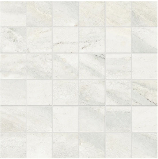 Floor Tiles Evolution Ice Matte 12" x 12"