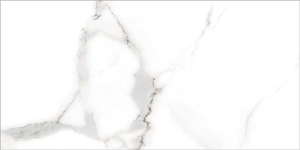 Centura Floor Tiles Alsacia Matte 24" x 48" (15.5 sqft/box