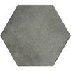 Centura (HER24953) product
