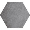 Centura (HER24952) product