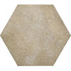 Centura (HER24955) product