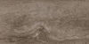Centura (RNT06) plank
