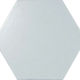 Tuiles murales Scale Hexagon Sky Blue Poli 4" x 5"