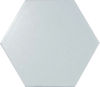 Centura (HE23293) product
