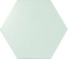 Centura (HE23295) product