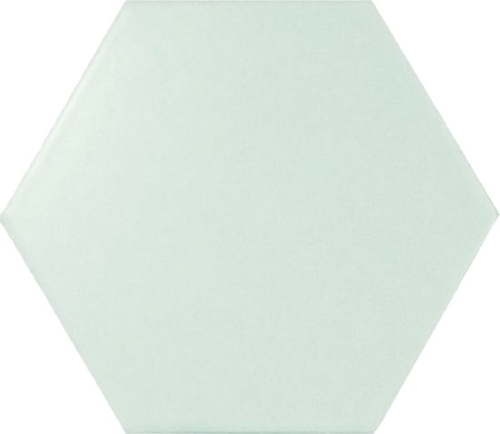 Wall Tiles Scale Hexagon Mint Polished 4" x 5"