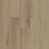 Biyork (BYKRPTDWP12TMRF) color