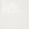 Centura (CO13238) product