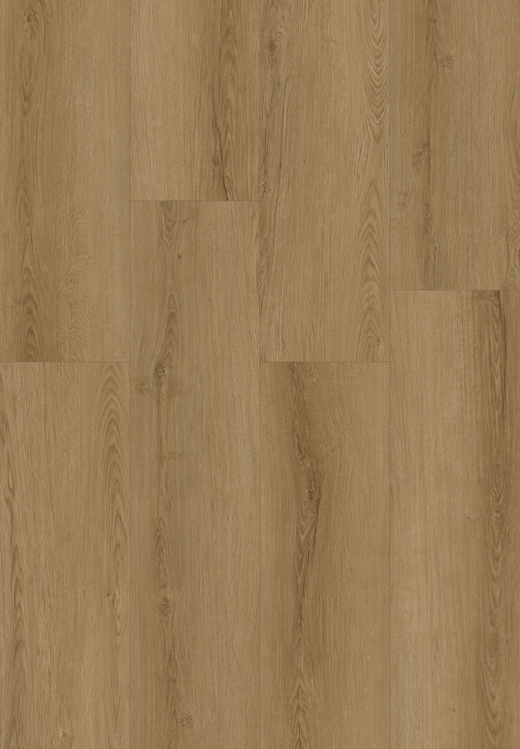 0741ca7b-d1d0-11ee-ada1-