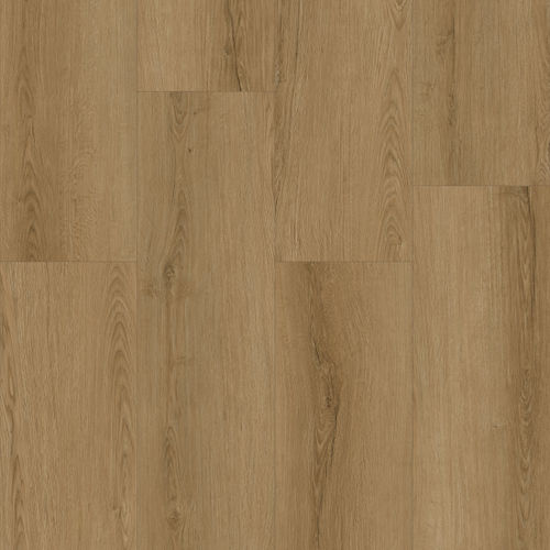 0741ca7b-d1d0-11ee-ada1-