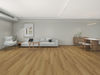 Fuzion (DY225FG12) room_scene