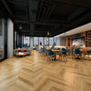 Fuzion (DY305FG02) room_scene