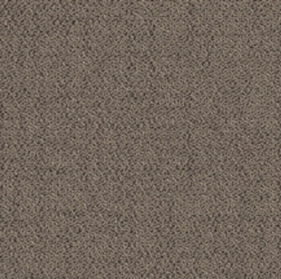 Carpet Tiles Solon Greige 19-11/16" x 19-11/16"
