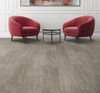 ProSolution (40131-10144-T25100) room_scene