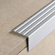 Stair-Nosing Profile Prowalk Punched Anodized Aluminium Silver 24 x 10