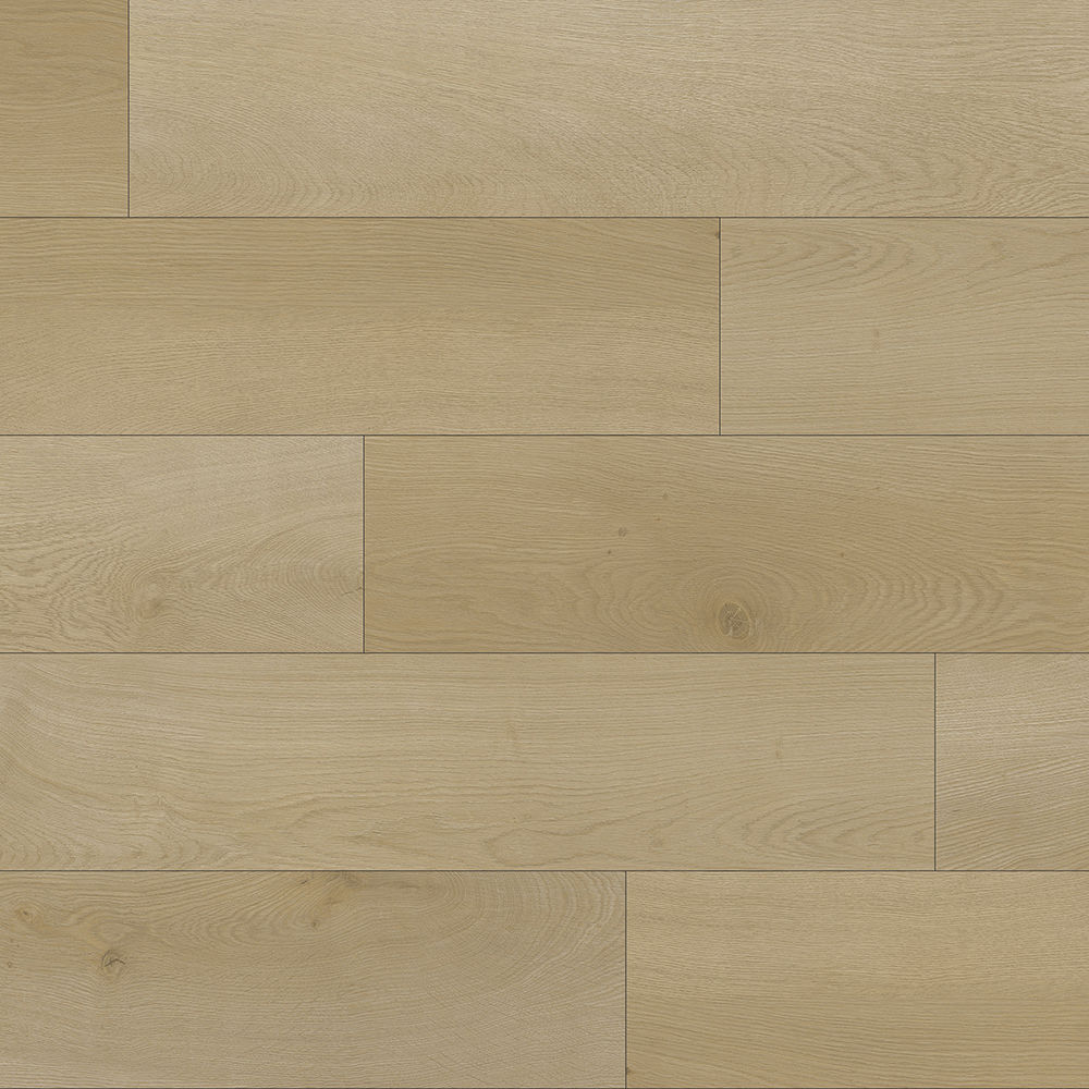 パリファク 0e60f630-6495-11ef-beaa-