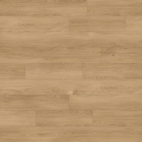0e613c44-6495-11ef-beaa-