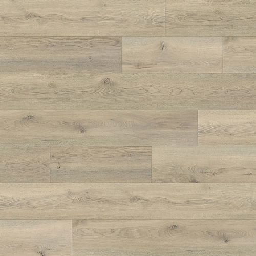 0e6147ff-6495-11ef-beaa-