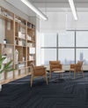 ProSolution (40207-60130-T25100) room_scene