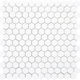 Mosaic Terra Marble Dolomite Hexagon Polished 12" x 12"