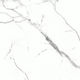 Floor Tiles Marmo Graphite Polished 24" x 24"