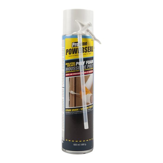 Expension Foam Powerseal 12oz