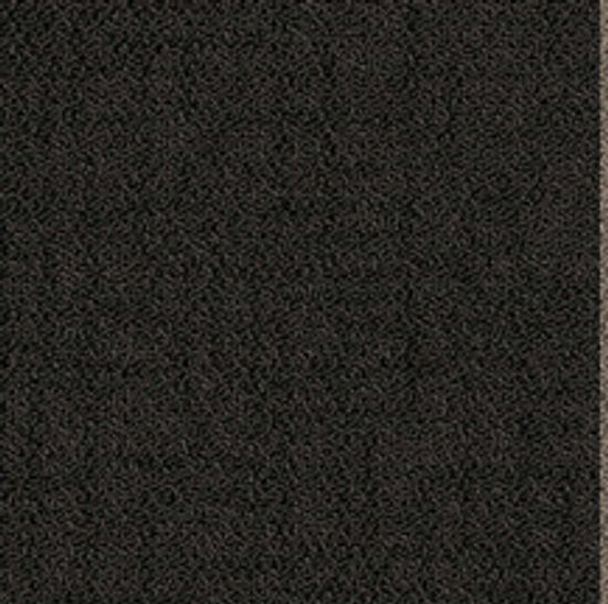Broadloom Carpet Solon with PermaFuseXL Backing System Wet Stone 79-1/4" (Sold in sqyd)