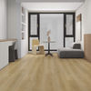 Planchers 1867 (5730130) room_scene