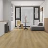 Planchers 1867 (5730130) room_scene
