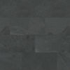 MSI Surfaces (SMONBLK1224G) product