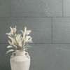 MSI Surfaces (SMONBLU1836G) room_scene