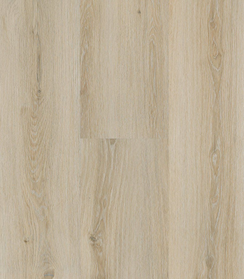 176ed840-ccec-11ed-935e-