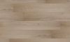 Fuzion (DY228OL01) color