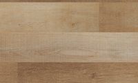Fuzion (FG165FT11) color