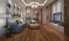 Fuzion (FG196OR02) room_scene