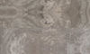 Fuzion (SDE4064) color
