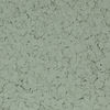 Torginol (F14301/840LB) product