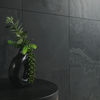 MSI Surfaces (SMONBLK1212H) room_scene