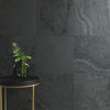MSI Surfaces (SMONBLK1616H) room_scene