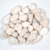 MSI Surfaces (LPEBMWHI3POL40) product