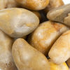 MSI Surfaces (LPEBMYEL5POL40) product