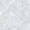 MSI Surfaces (TARACAR12240.38H) floor