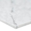 MSI Surfaces (TARACAR12240.38H) floor