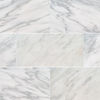 MSI Surfaces (TARACAR12240.38P) floor