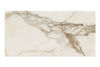 MSI Surfaces (TBIANDOL1224H) floor