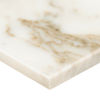 MSI Surfaces (TBIANDOL1224H) floor