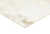 MSI Surfaces (TBIANDOL1224H) floor