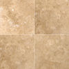 MSI Surfaces (LPAVTWAL2424T) floor