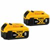 Dewalt (DCB205-2)