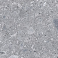 Planchers 1867 (564805040R) product